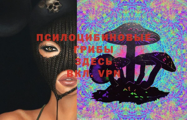 крисы Верхнеуральск