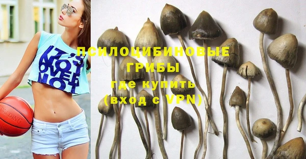 СК Волоколамск